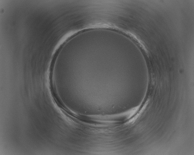 X0000051241422200506171059