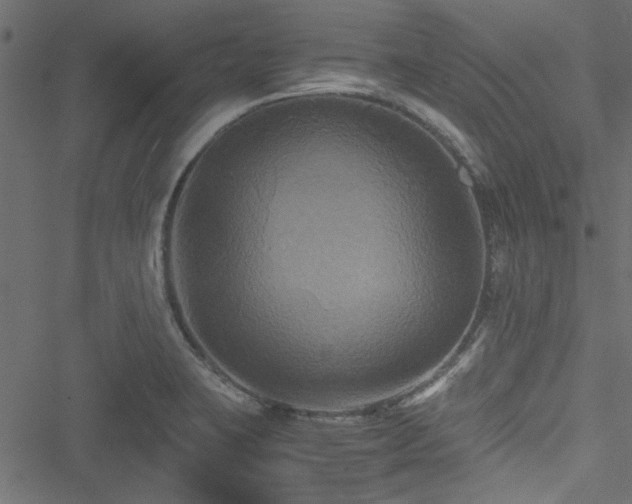 X0000051241423200506171059