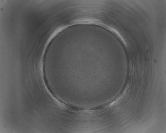 X0000051241424200506171059