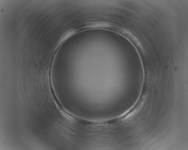 X0000051241425200506171059