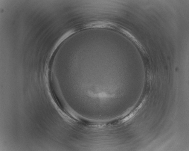 X0000051241426200506171059