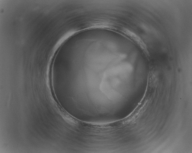 X0000051241427200506171059