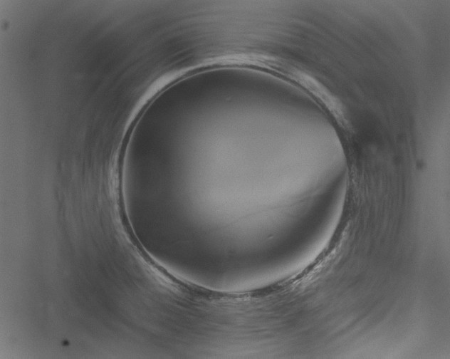 X0000051241428200506171059