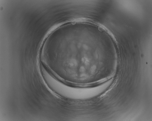 X0000051241429200506171059