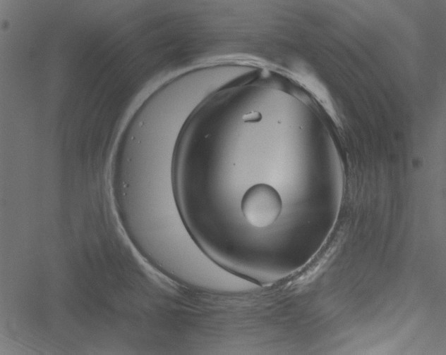 X0000051241430200506171059