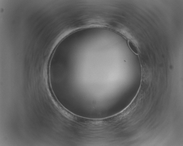 X0000051241431200506171059