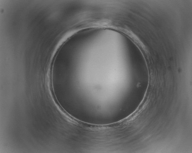 X0000051241432200506171059