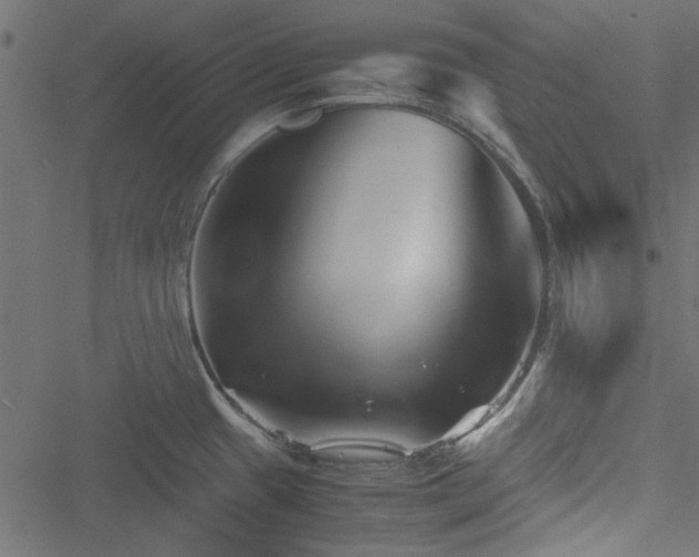 X0000051241433200506171059