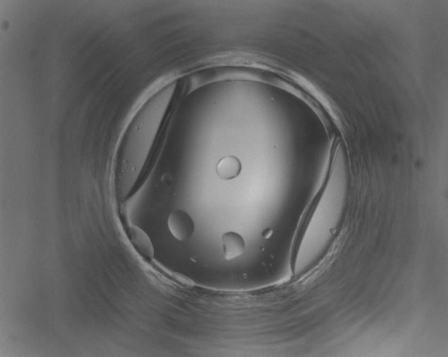 X0000051241434200506171059