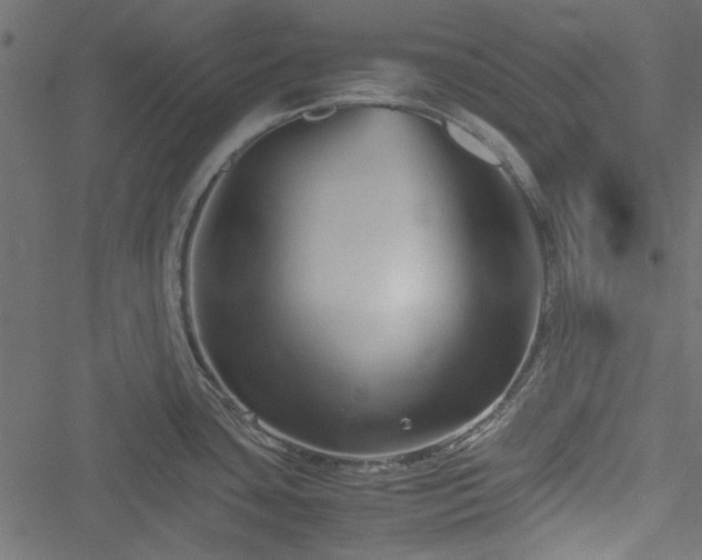 X0000051241435200506171059