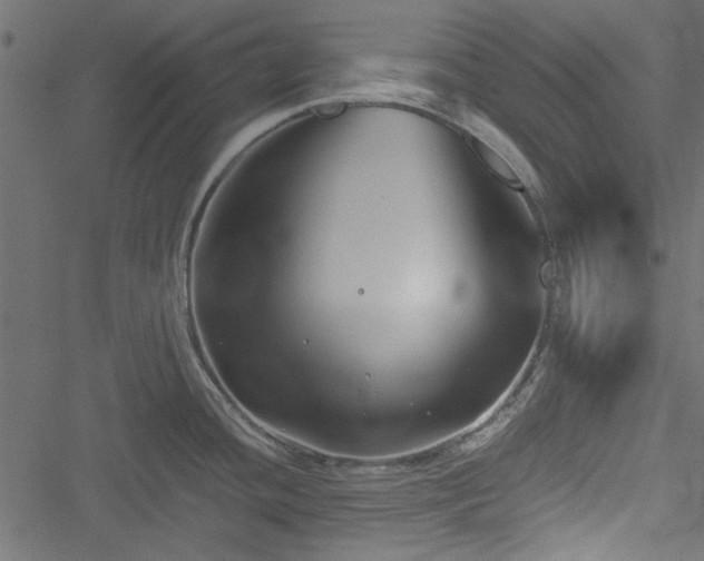 X0000051241436200506171059