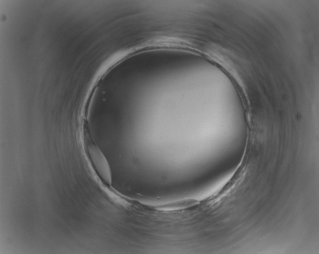 X0000051241437200506171059