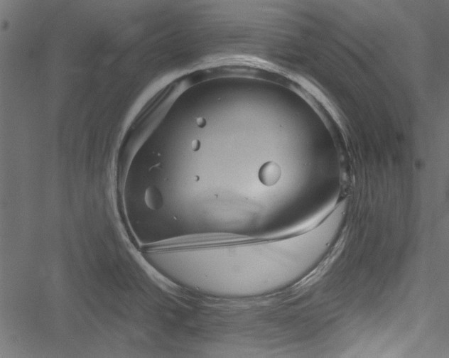 X0000051241438200506171059