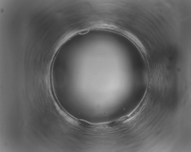 X0000051241439200506171059