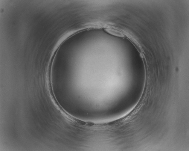 X0000051241440200506171059