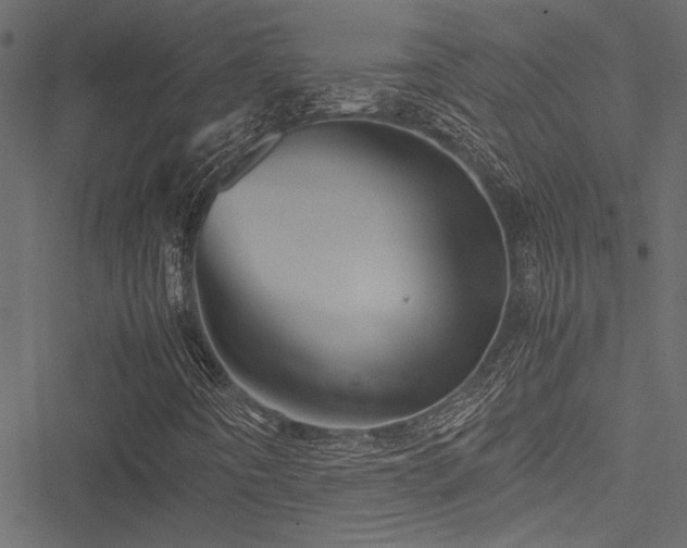 X0000051241442200506171058