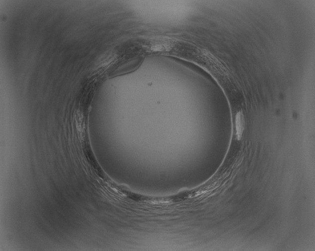 X0000051241443200506171058