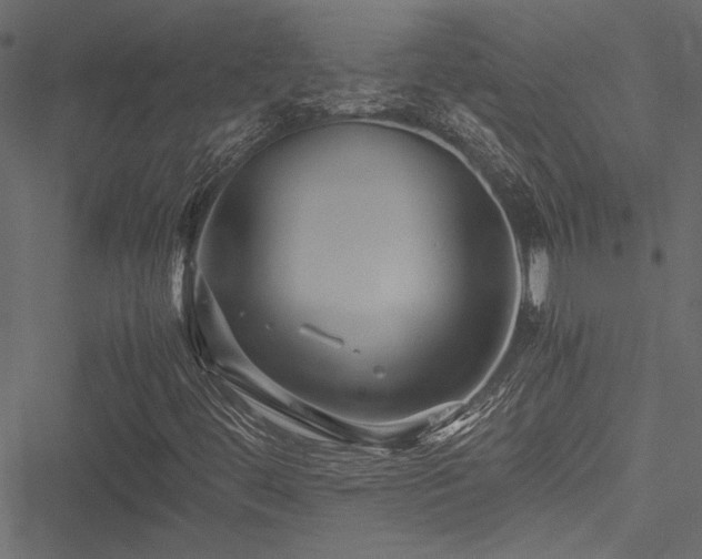 X0000051241444200506171058