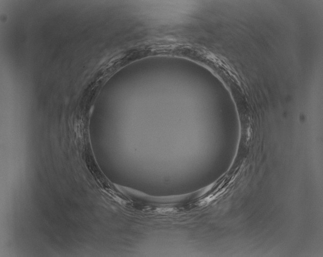 X0000051241445200506171058