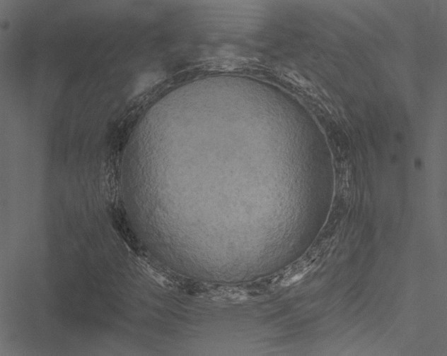 X0000051241446200506171058