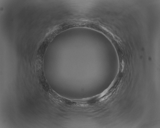 X0000051241447200506171058