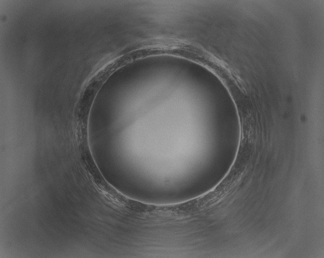 X0000051241448200506171058