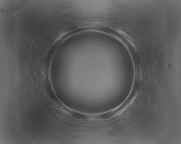 X0000051241449200506171058