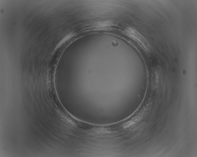 X0000051241450200506171058