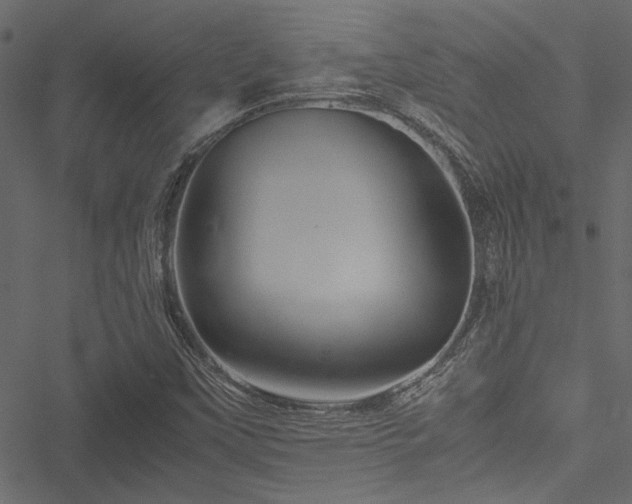 X0000051241451200506171058