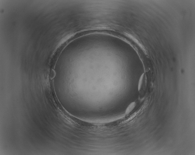 X0000051241452200506171058