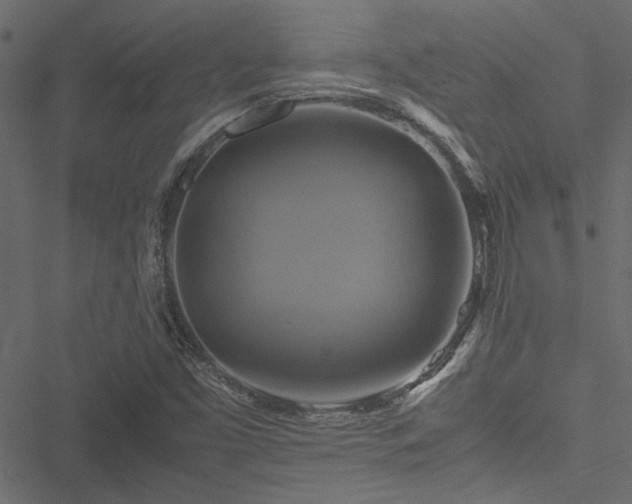 X0000051241453200506171058