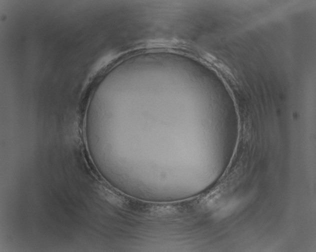 X0000051241454200506171058