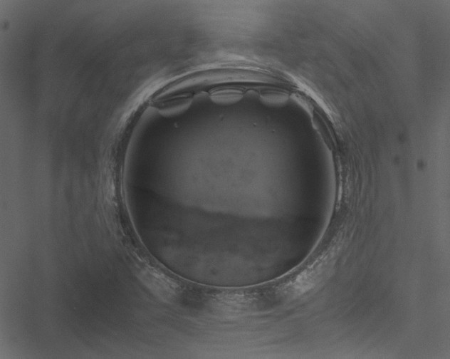 X0000051241455200506171058