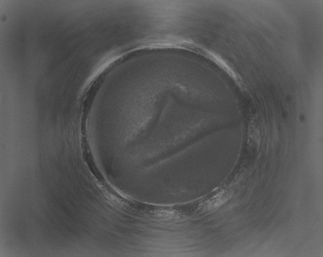 X0000051241456200506171058