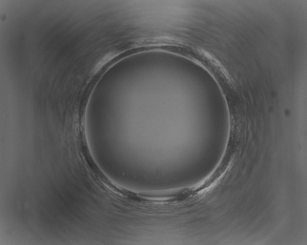 X0000051241457200506171058