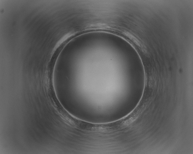 X0000051241458200506171058