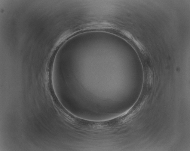 X0000051241459200506171058