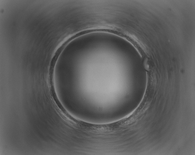 X0000051241460200506171058