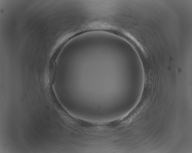 X0000051241461200506171058