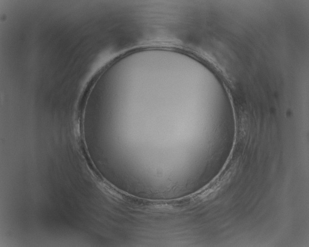 X0000051241462200506171058