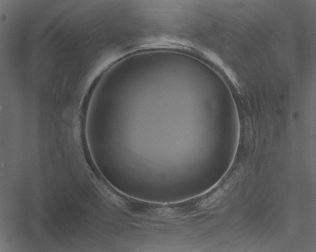 X0000051241463200506171058