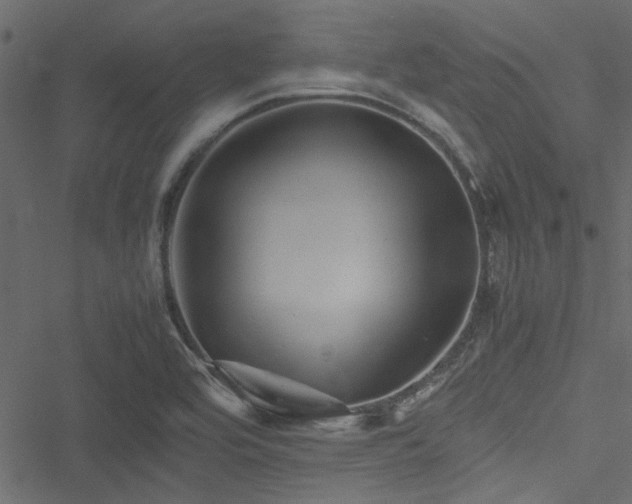 X0000051241464200506171058