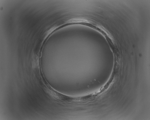 X0000051241465200506171058