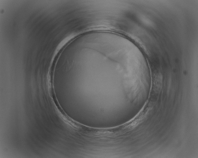 X0000051241466200506171058