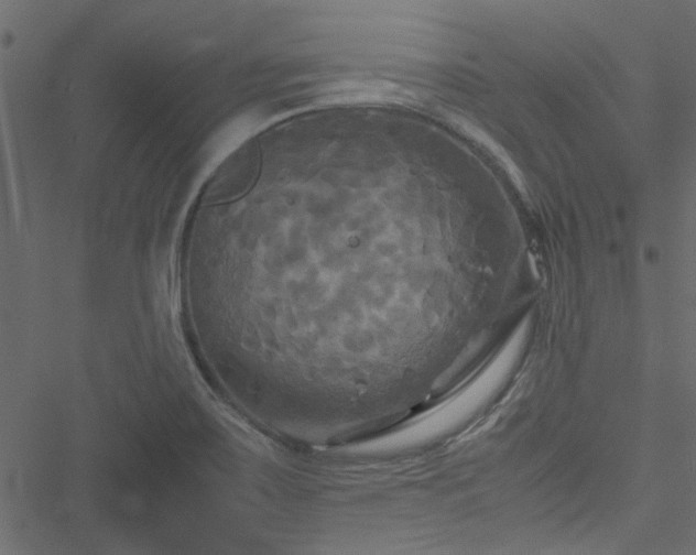 X0000051241467200506171058