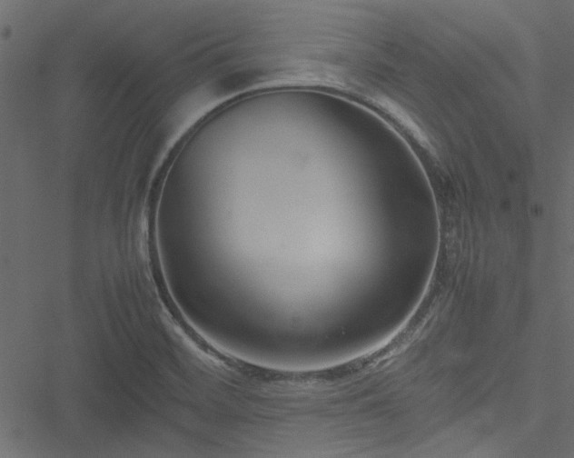 X0000051241468200506171058