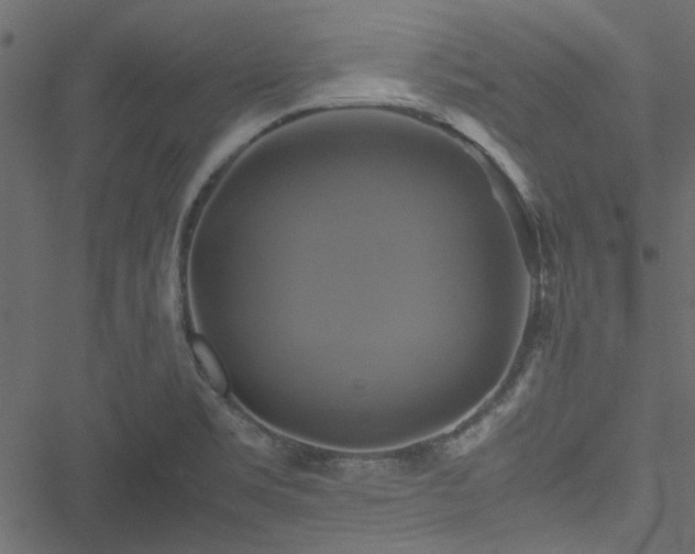 X0000051241469200506171058