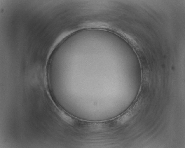 X0000051241470200506171058