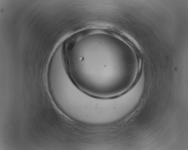 X0000051241471200506171058