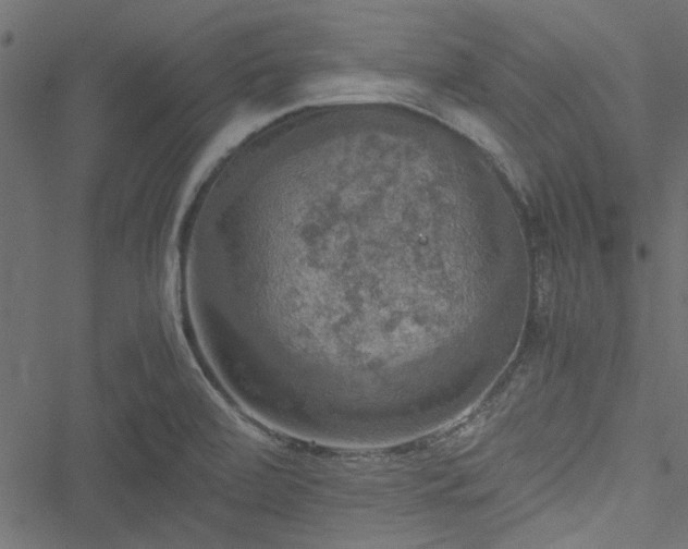 X0000051241472200506171058